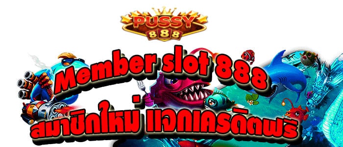 Member slot 888