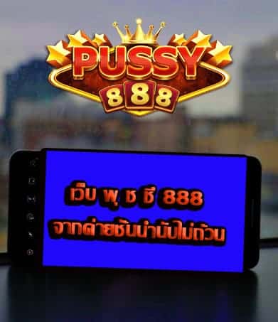 เว็บ พุ ช ชี่ 888